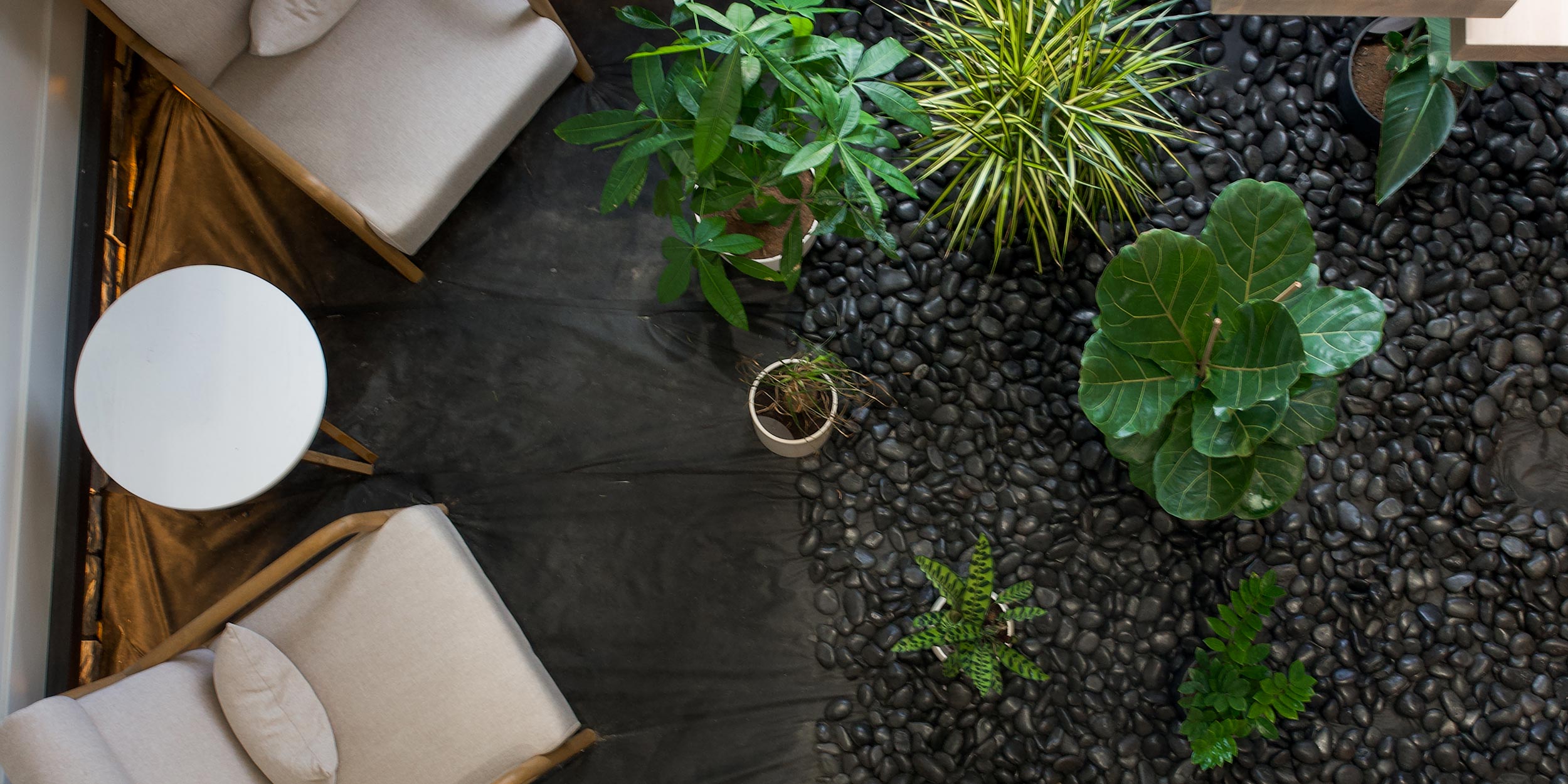Landscape light accenting garden plantings at night
